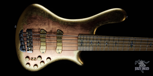 JERZY DROZD Eta Carinae bass guitar simple view