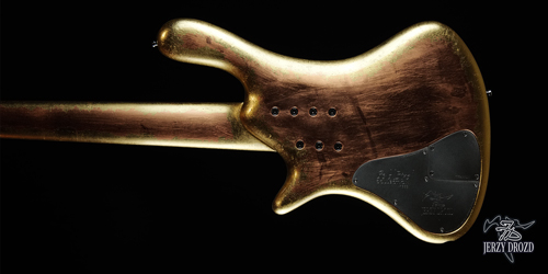 JERZY DROZD Eta Carinae bass guitar rear view of the body