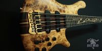 jerzy-drozd-prodigy-limited-edition-5string-bass-guitar-57312-10