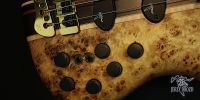 jerzy-drozd-prodigy-limited-edition-5string-bass-guitar-57312-8