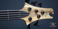 jerzy-drozd-barcelona-5strings-bass-guitar-58513-2