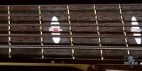 jerzy-drozd-siracusa-bass-guitar-12th-fret-silver-rose-gold-rose-ruby-inlay
