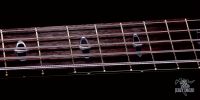 jerzy-drozd-siracusa-bass-guitar-fretboard-silver-rose-gold-inlay-3