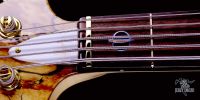 jerzy-drozd-siracusa-bass-guitar-truss-rod-white-cover