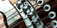jerzy-drozd-siracusa-bass-guitar-white-bridge