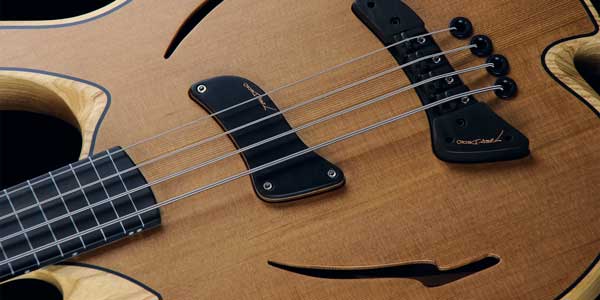 Barcelona Carles Benavent Piccolo bass guitar pickup and bridge view