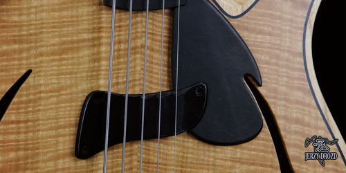 barcelona carles benavent flamed eucalyptus 3 small